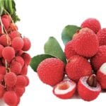 398 - Litchis