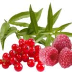 474 - verveine-framboise-groseille